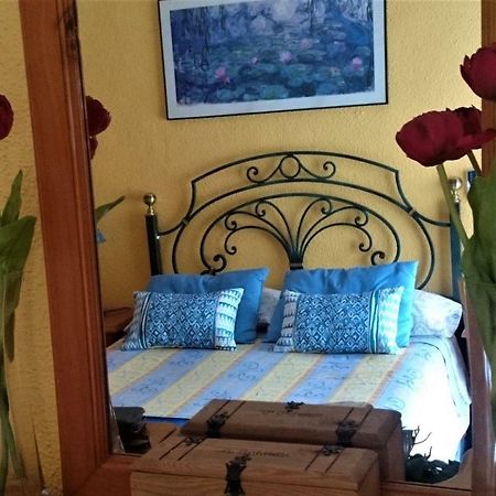 Cozy & Charming Apartment 阿尔姆尼卡 外观 照片