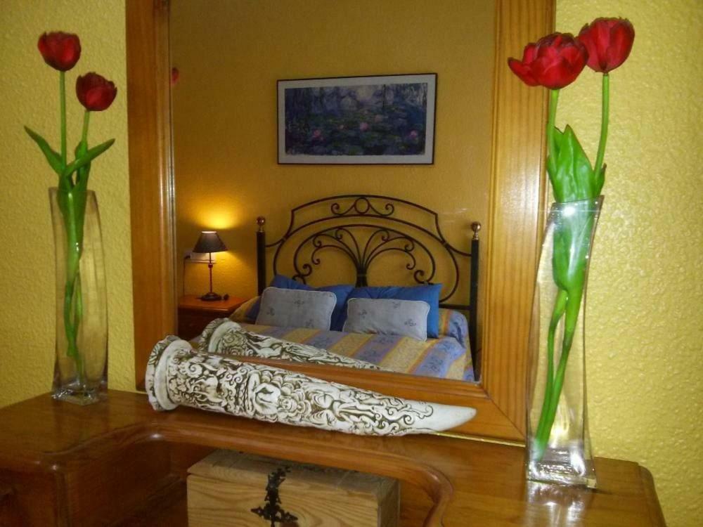 Cozy & Charming Apartment 阿尔姆尼卡 外观 照片